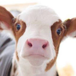 Meet your Posher, Kyler